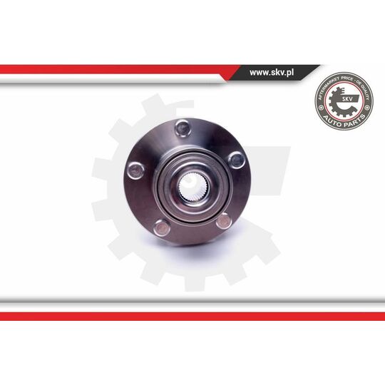 29SKV499 - Wheel Bearing Kit 