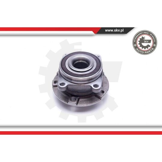 29SKV491 - Wheel Bearing Kit 