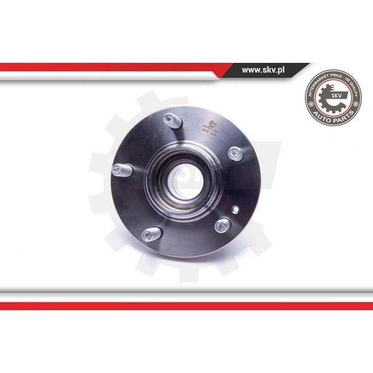 29SKV484 - Wheel Bearing Kit 