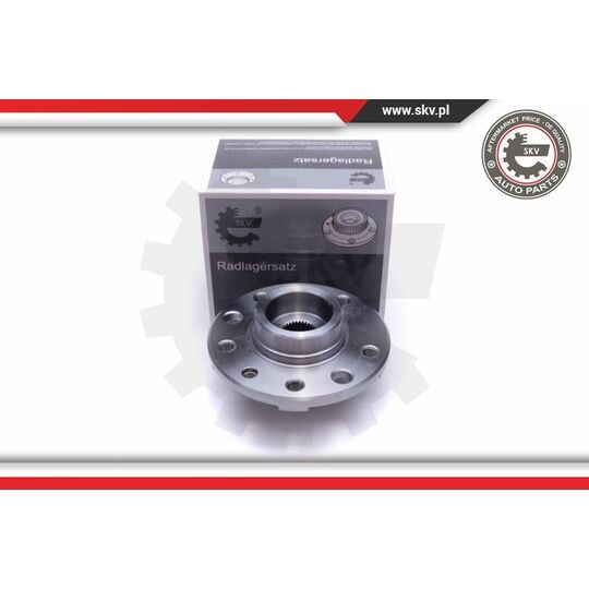 29SKV522 - Wheel Bearing Kit 