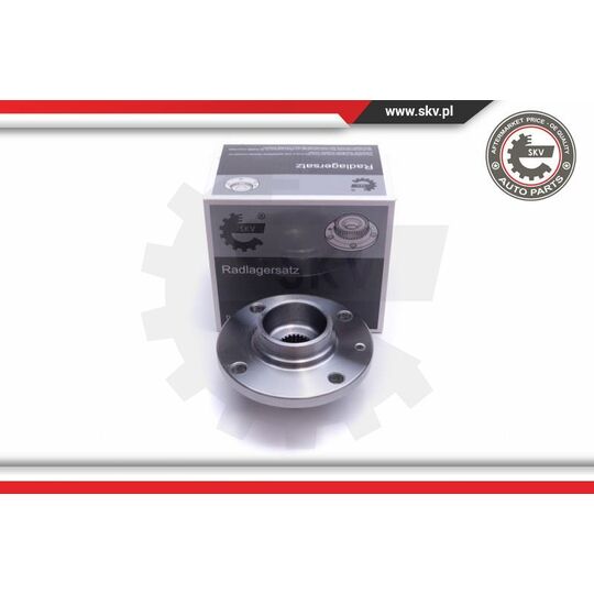 29SKV528 - Wheel Bearing Kit 