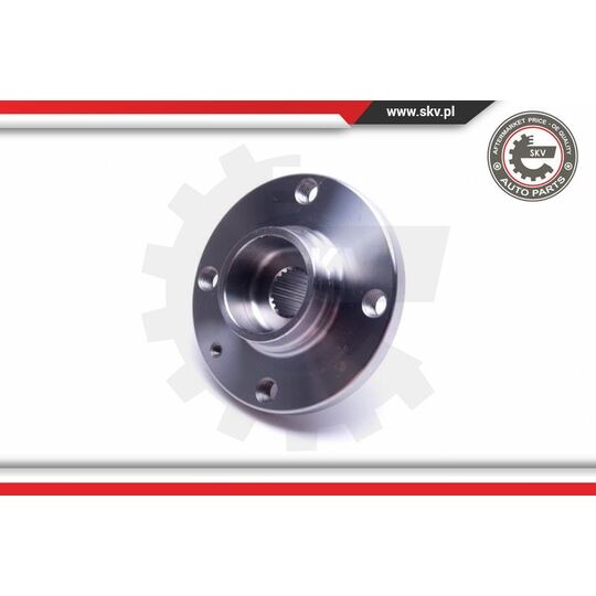 29SKV528 - Wheel Bearing Kit 