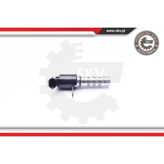 39SKV020 - Control Valve, Camshaft Adjustment 