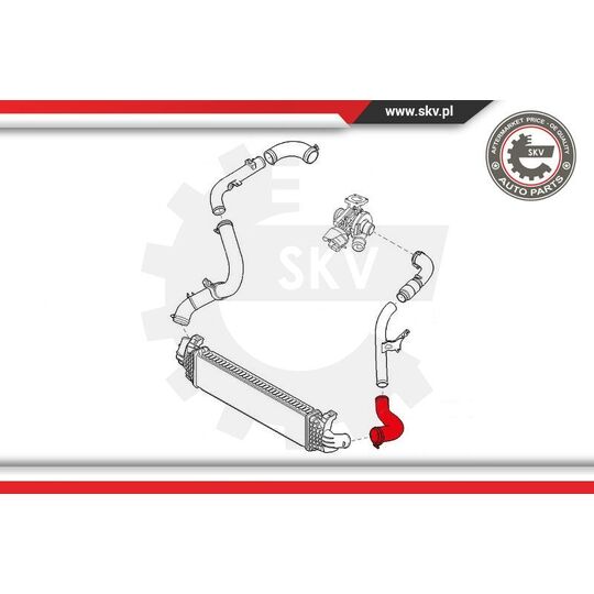 43SKV071 - Charger Air Hose 