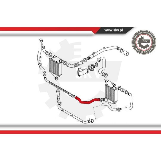 43SKV117 - Charger Air Hose 