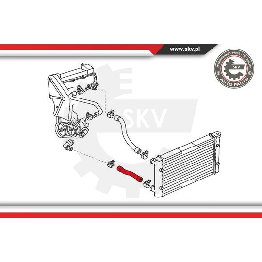 43SKV720 - Radiator Hose 