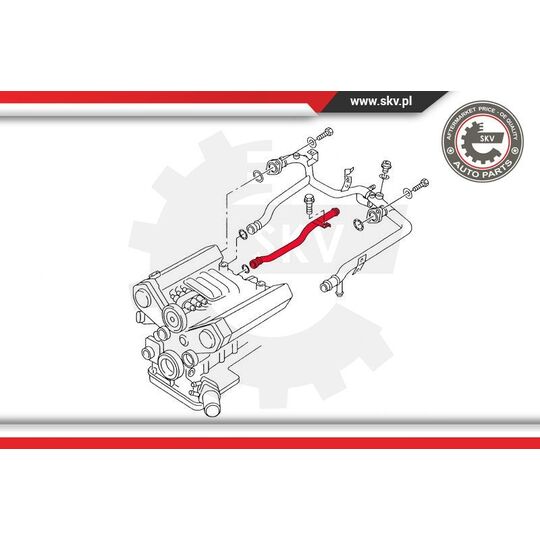 43SKV779 - Coolant Tube 