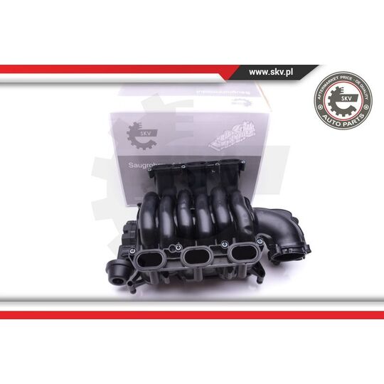 49SKV004 - Intake Manifold Module 