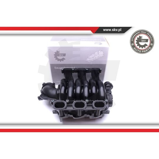 49SKV002 - Intake Manifold Module 