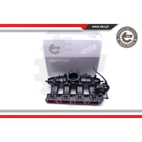 49SKV003 - Intake Manifold Module 