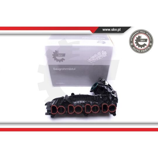 49SKV018 - Intake Manifold Module 