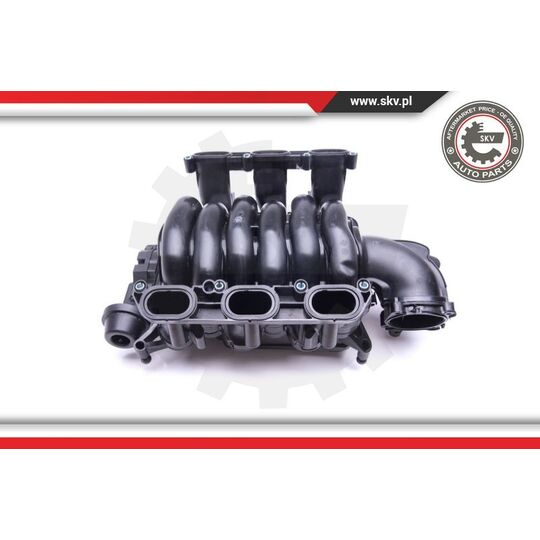 49SKV004 - Intake Manifold Module 