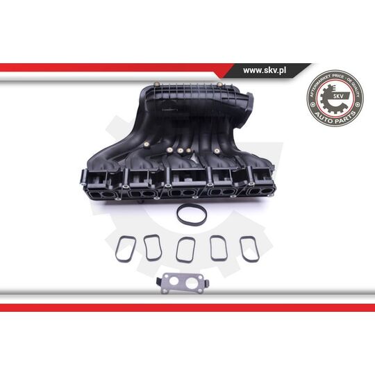 49SKV012 - Intake Manifold Module 