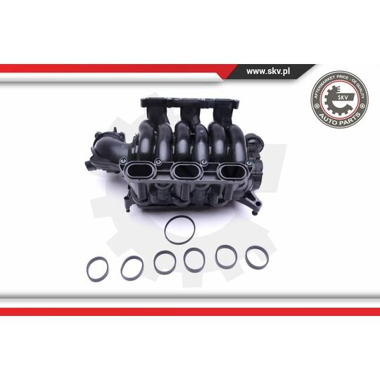 49SKV004 - Intake Manifold Module 