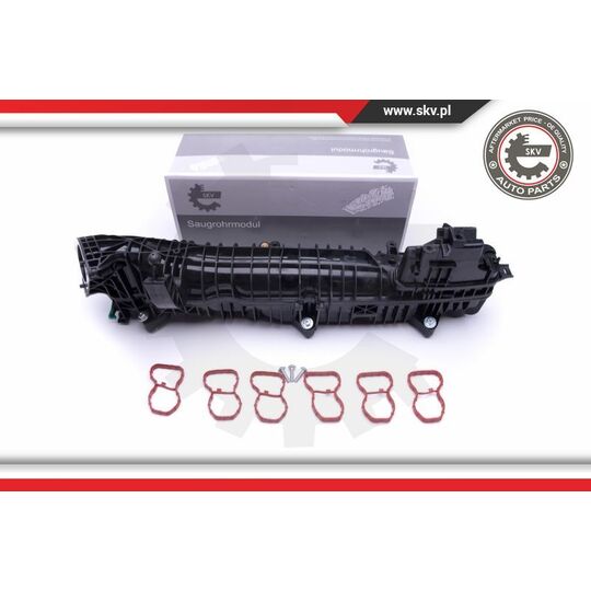 49SKV039 - Intake Manifold Module 