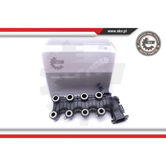 49SKV022 - Intake Manifold Module 