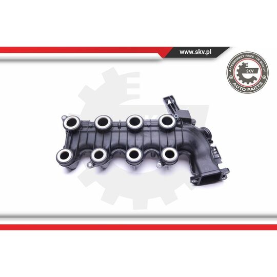 49SKV022 - Intake Manifold Module 