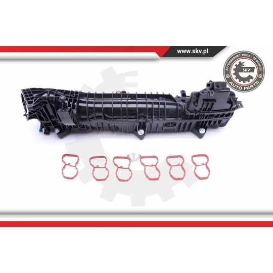 49SKV039 - Intake Manifold Module 