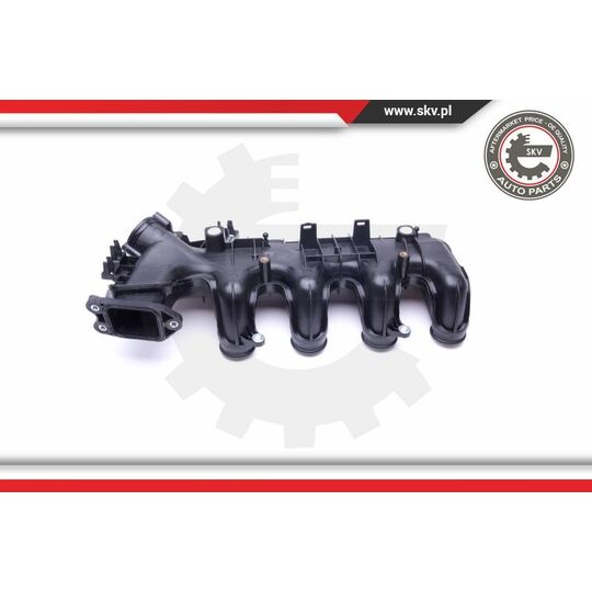 49SKV022 - Intake Manifold Module 