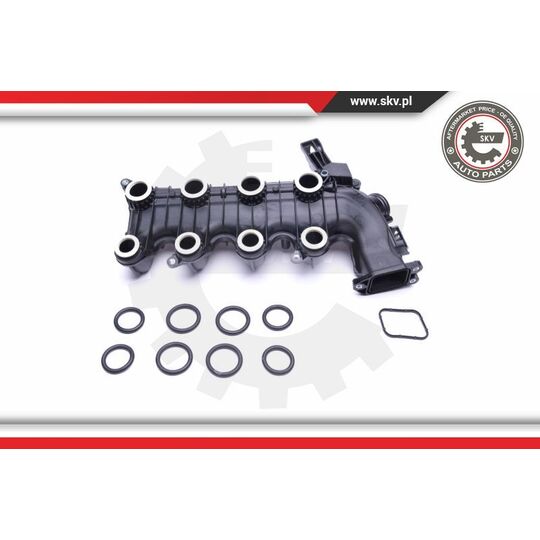 49SKV022 - Intake Manifold Module 