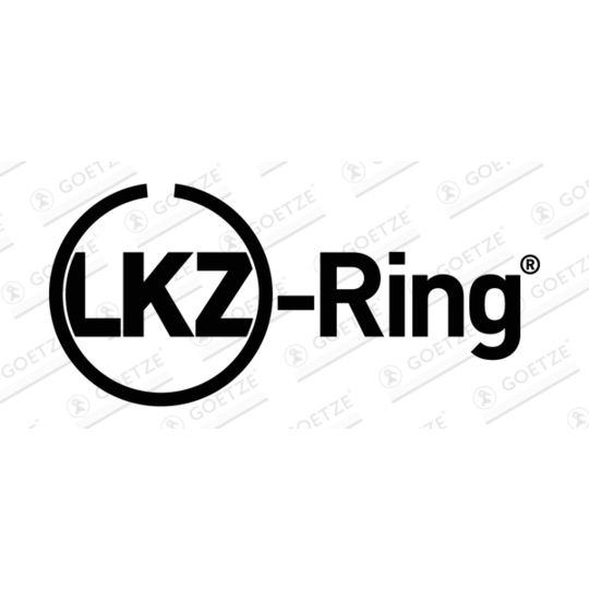 08-432205-10 - Piston Ring Kit 