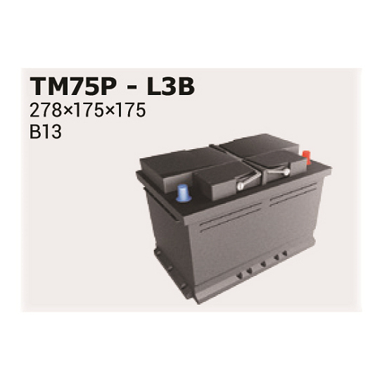 TM75P - Starter Battery 