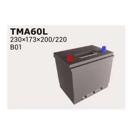 TMA60L - Starter Battery 