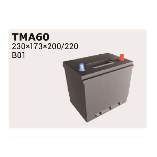 TMA60 - Starter Battery 