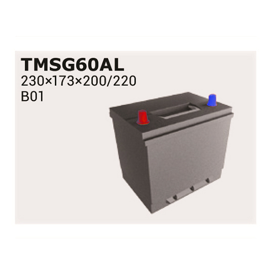 TMSG60AL - Batteri 