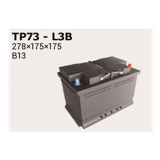 TP73 - Starter Battery 
