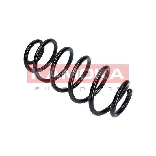 2110100 - Coil Spring 