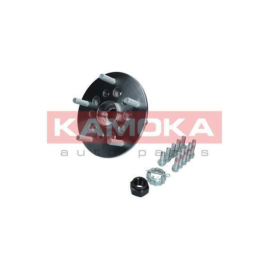 5500256 - Wheel Bearing Kit 