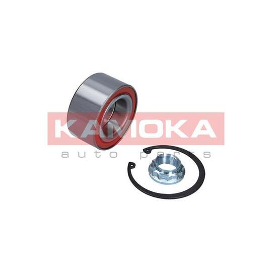 5600079 - Wheel Bearing Kit 