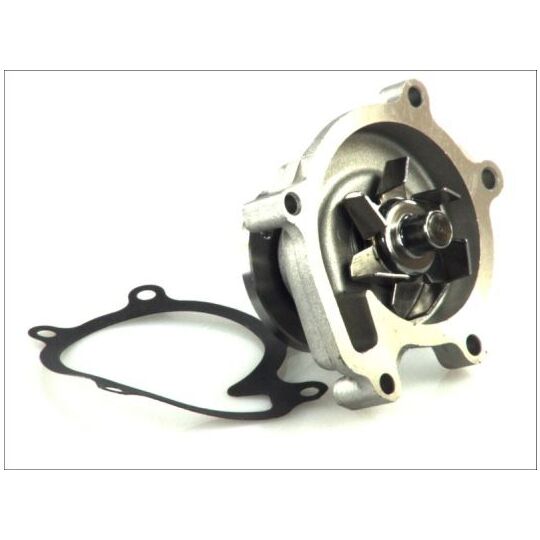 D12073TT - Water pump 