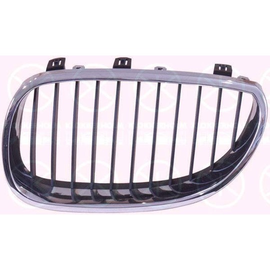 0066994A1 - Radiator Grille 