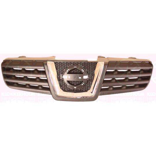 1617990A1 - Radiator Grille 