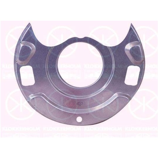 1666379 - Splash Panel, brake disc 