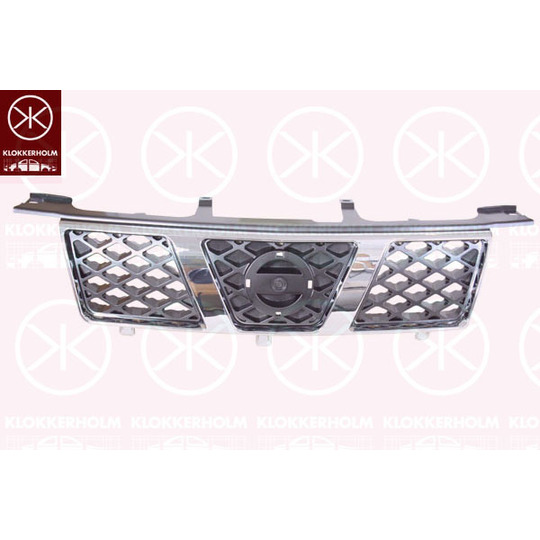 1678991A1 - Radiator Grille 