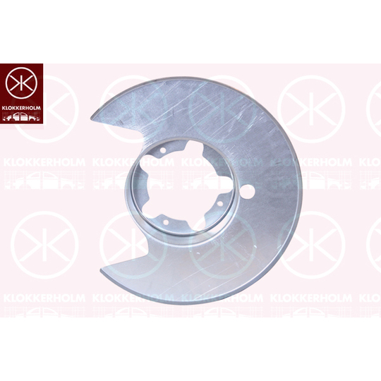 3081879 - Splash Panel, brake disc 