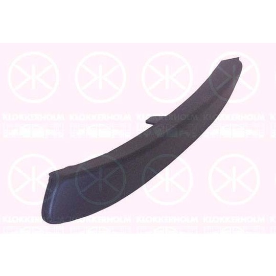 5052921A1 - Trim/Protective Strip, bumper 