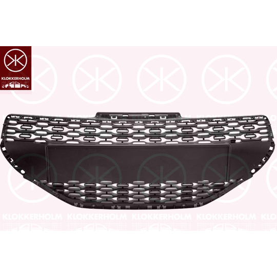 5509990A1 - Radiator Grille 