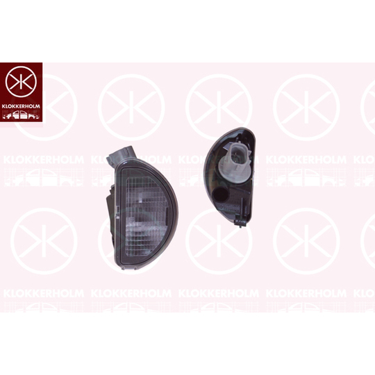 81010850 - Licence Plate Light 