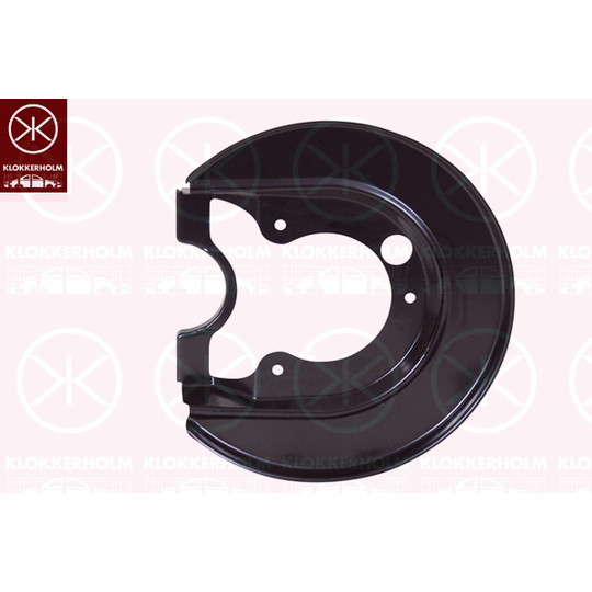 9523873 - Splash Panel, brake disc 