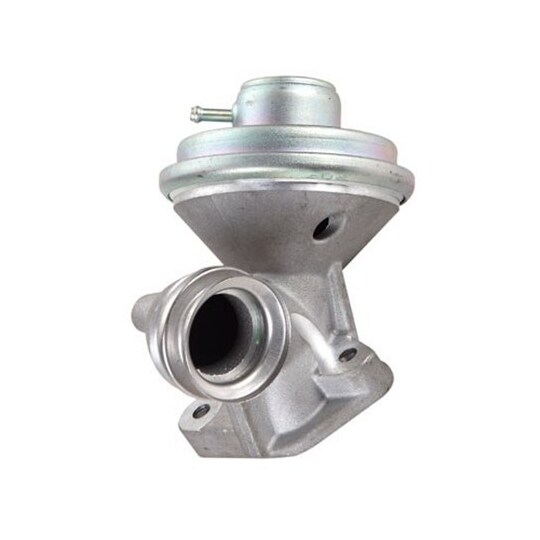 571822112100 - EGR Valve 