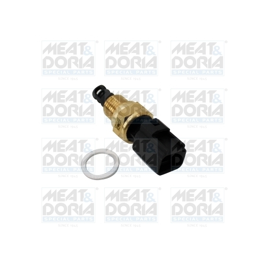 821016 - Sensor, intake air temperature 