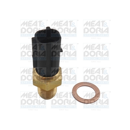 82484 - Sensor, coolant temperature 