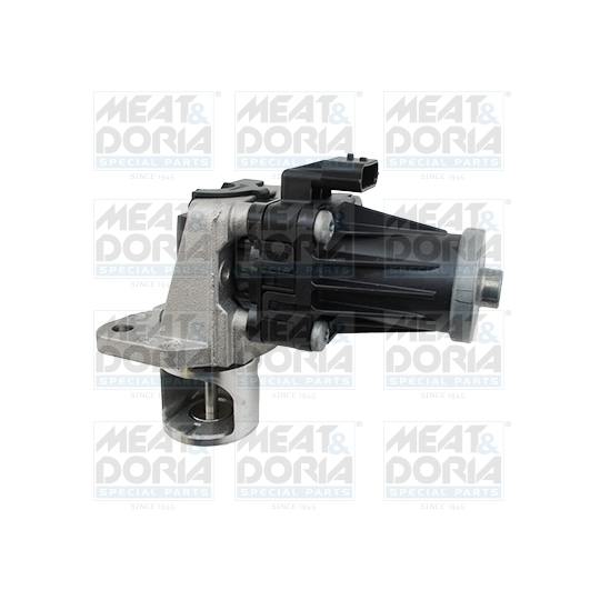 88748 - EGR Valve 