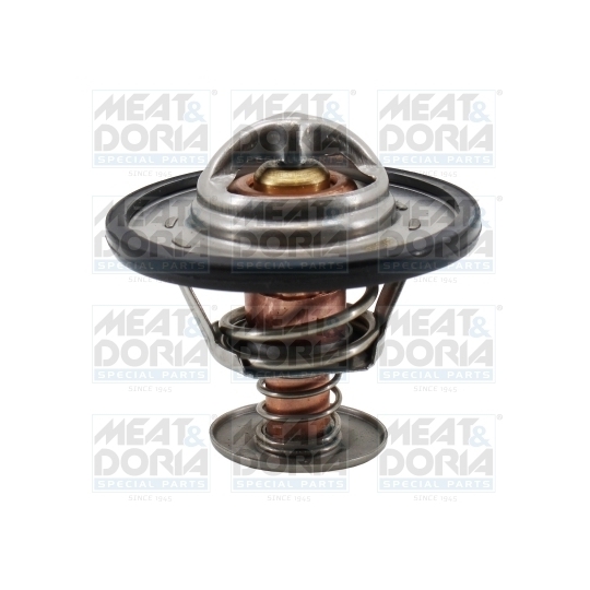 92421 - Thermostat, coolant 