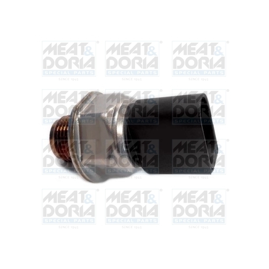 9505 - Sensor, fuel pressure 