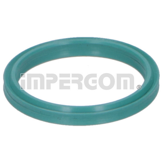 20291 - Seal Ring, turbo air hose 